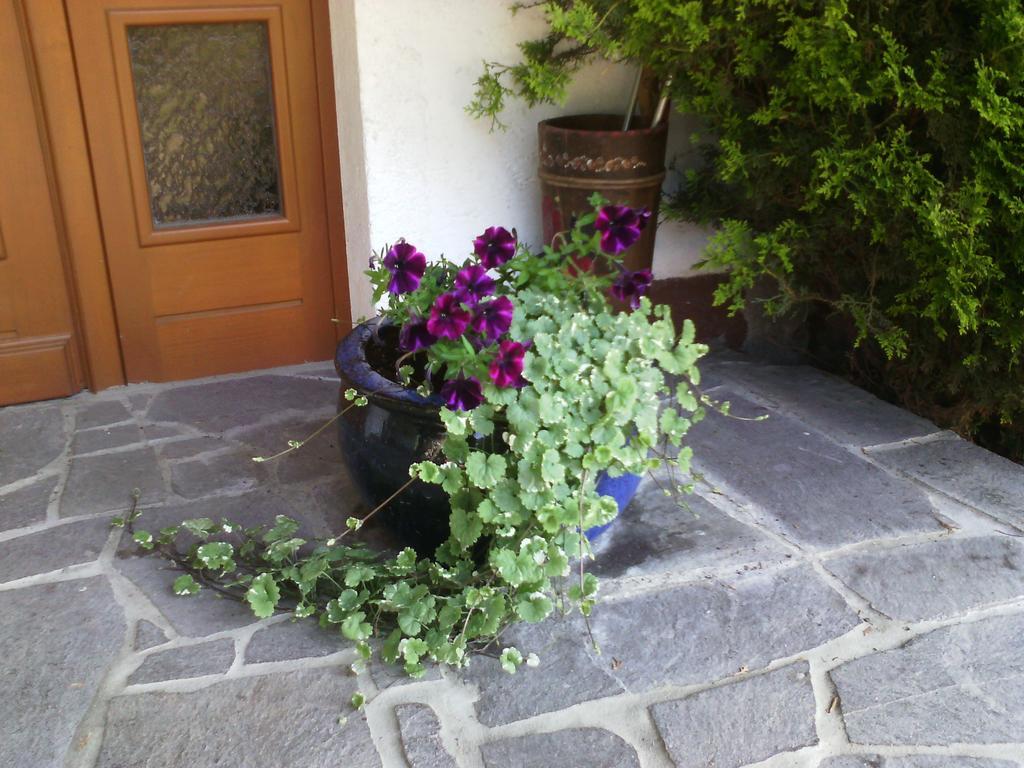 Appartements Zankl Kotschach-Mauthen Buitenkant foto